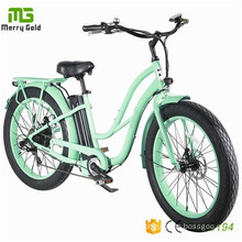 Best Price 36V250W/350W/500W Electric City E Bike for Women